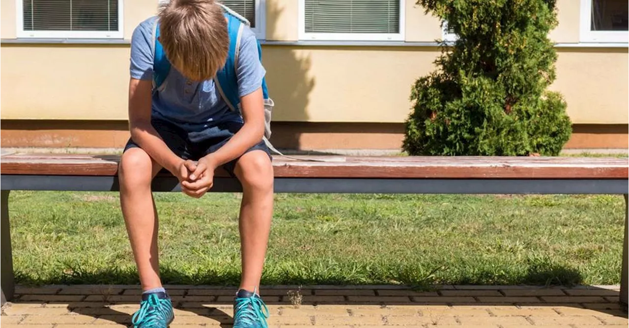 Bullying in Australian schools among highest levels in English-speaking world