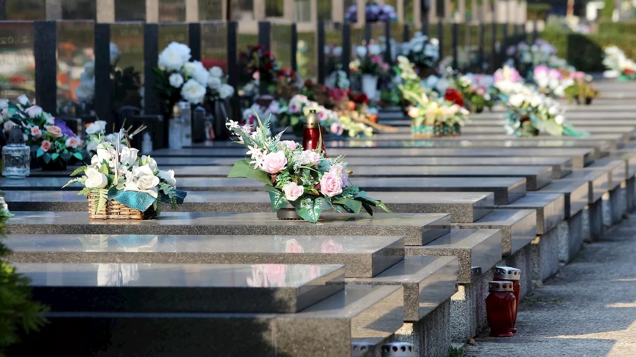 Cinco investigados por profanar más de 160 tumbas en el cementerio de Montjuïc (Barcelona)