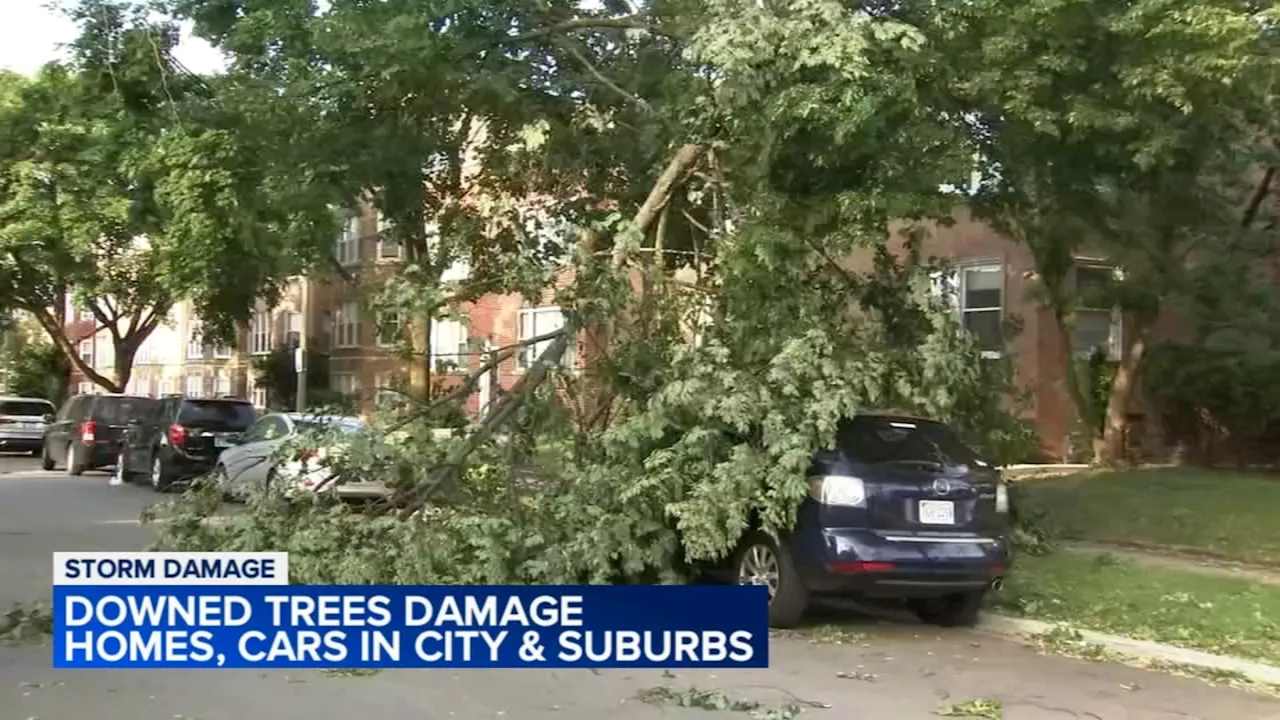 Chicago weather: Storms topple trees, knock out power across Chicago area