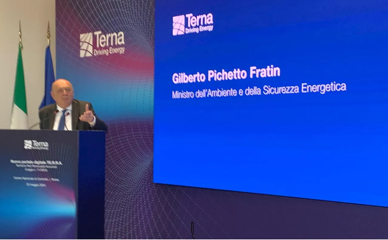 Pichetto: 'Il portale Terra è un tassello per la programmazione efficiente della rete elettrica'