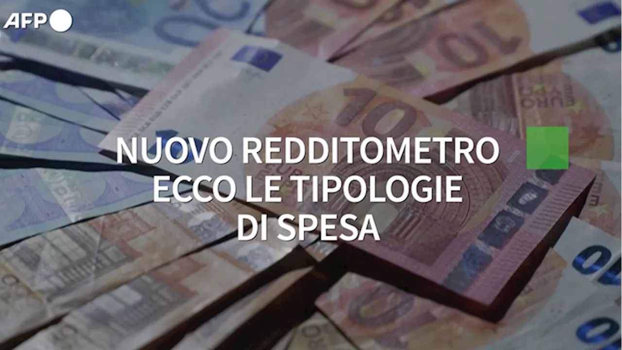 Come funziona il nuovo redditometro: ecco le tipologie di spesa