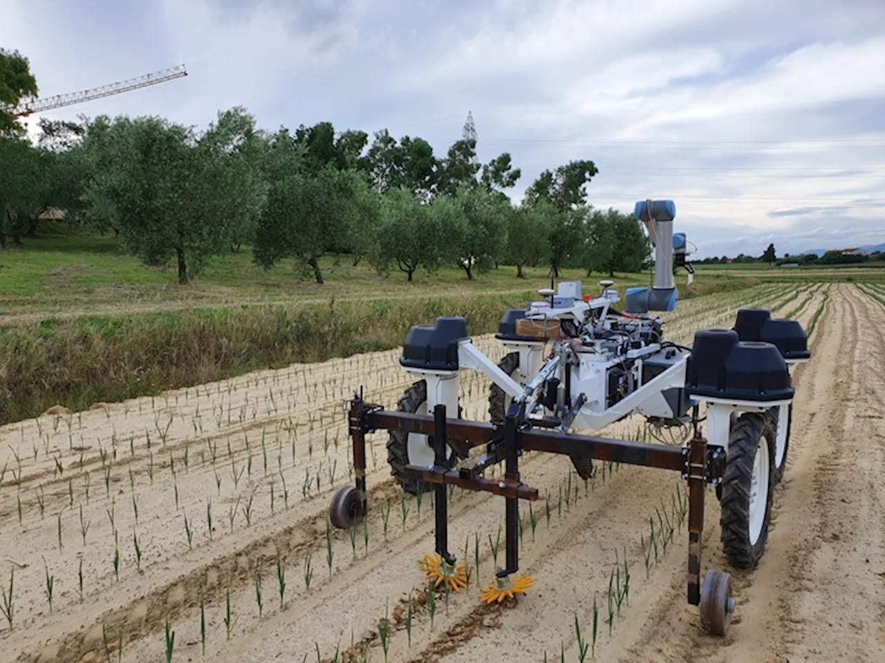 Il futuro dell'agricoltura sul tavolo della Commissione europea