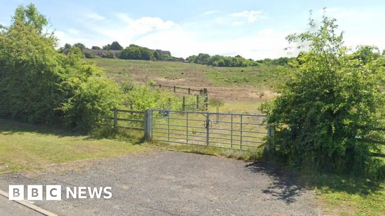 Telford Council submits plan for new sports pitches