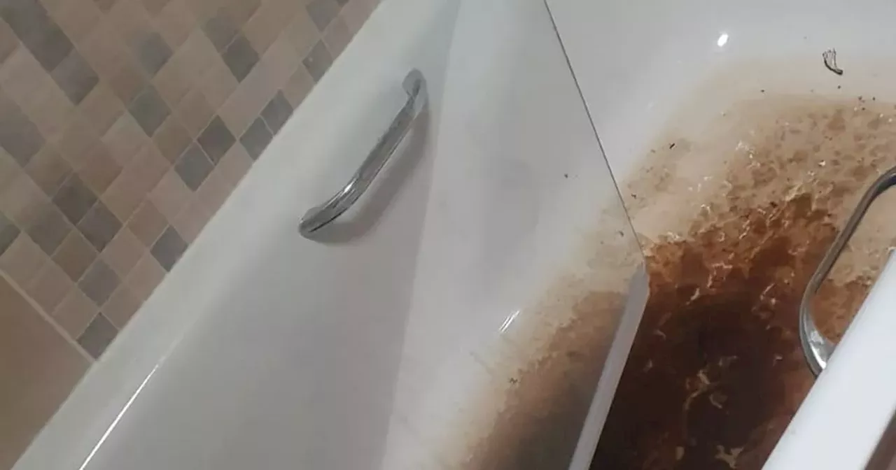 Vulnerable man sick after sewage gets through pipes of Belfast home