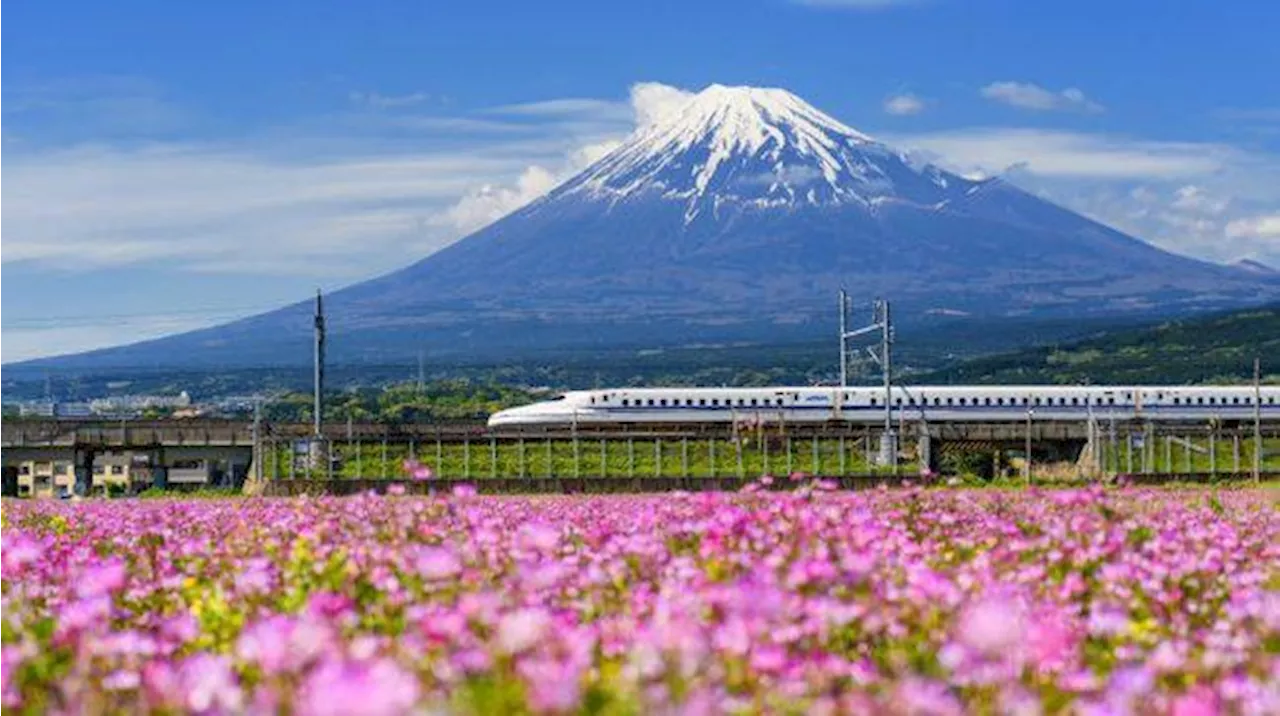 Penghalang Gunung Fuji di Lawson Jepang Mulai Dipasang, Ada Apa?