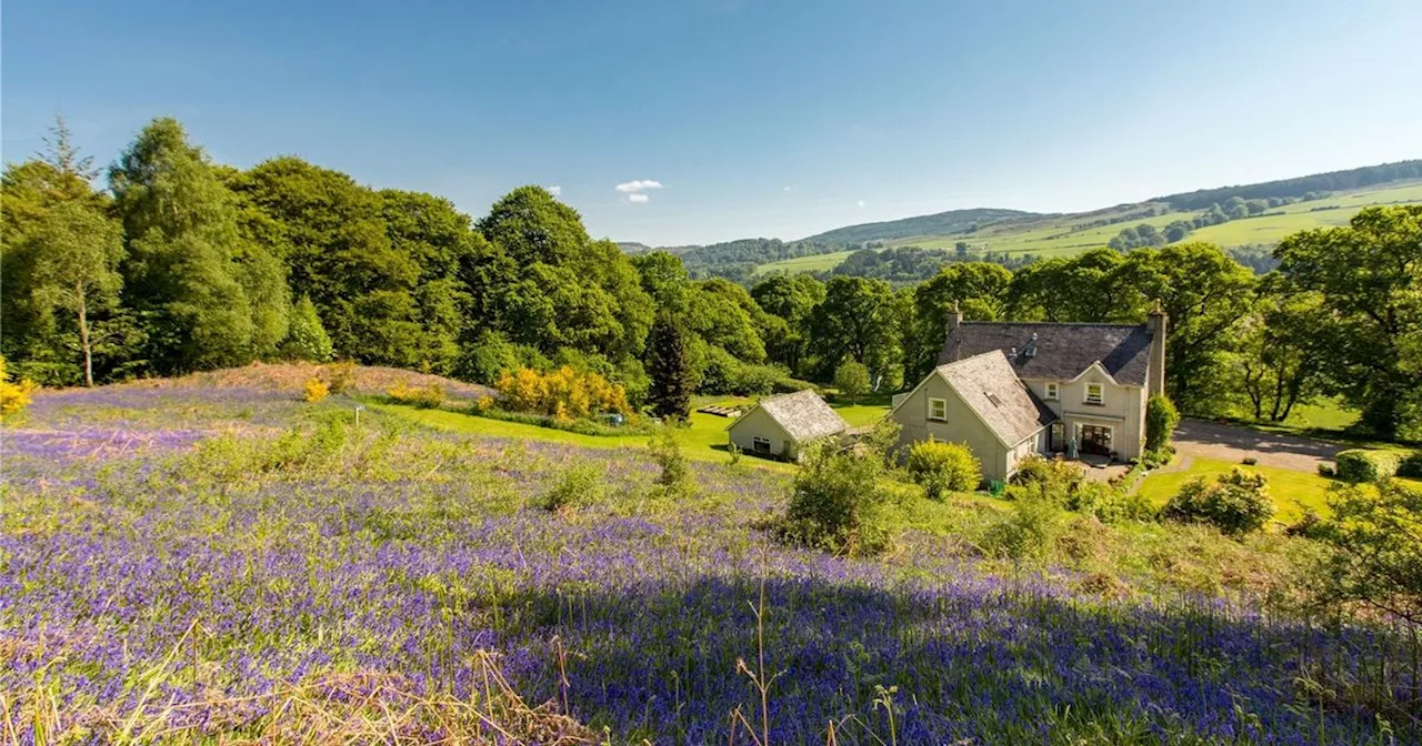 Dream Scots home in village that inspired Beatrix Potter's Peter Rabbit for sale