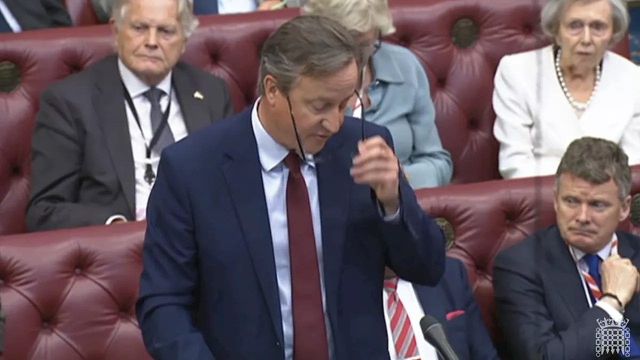 QUENTIN LETTS: David Cameron spanked the despatch box, whipped off his specs and told peers the...
