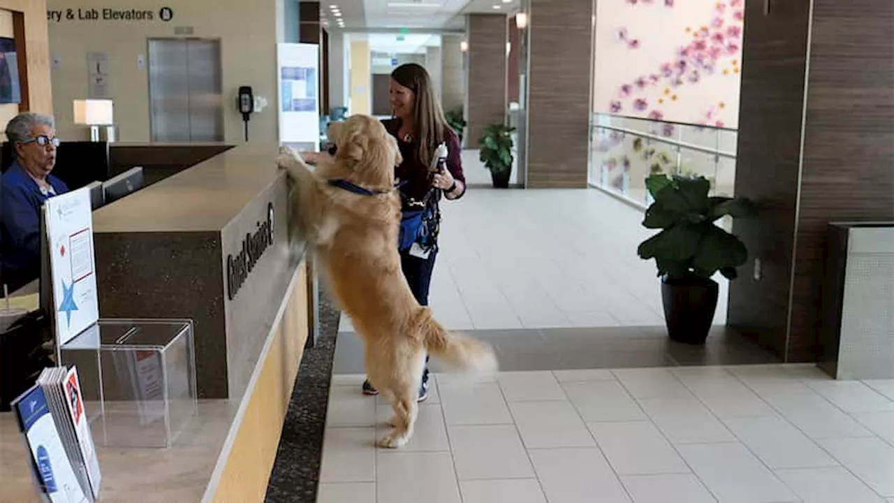 The healing power of pets: At Baylor Scott & White Health, the therapist is in (and furry)