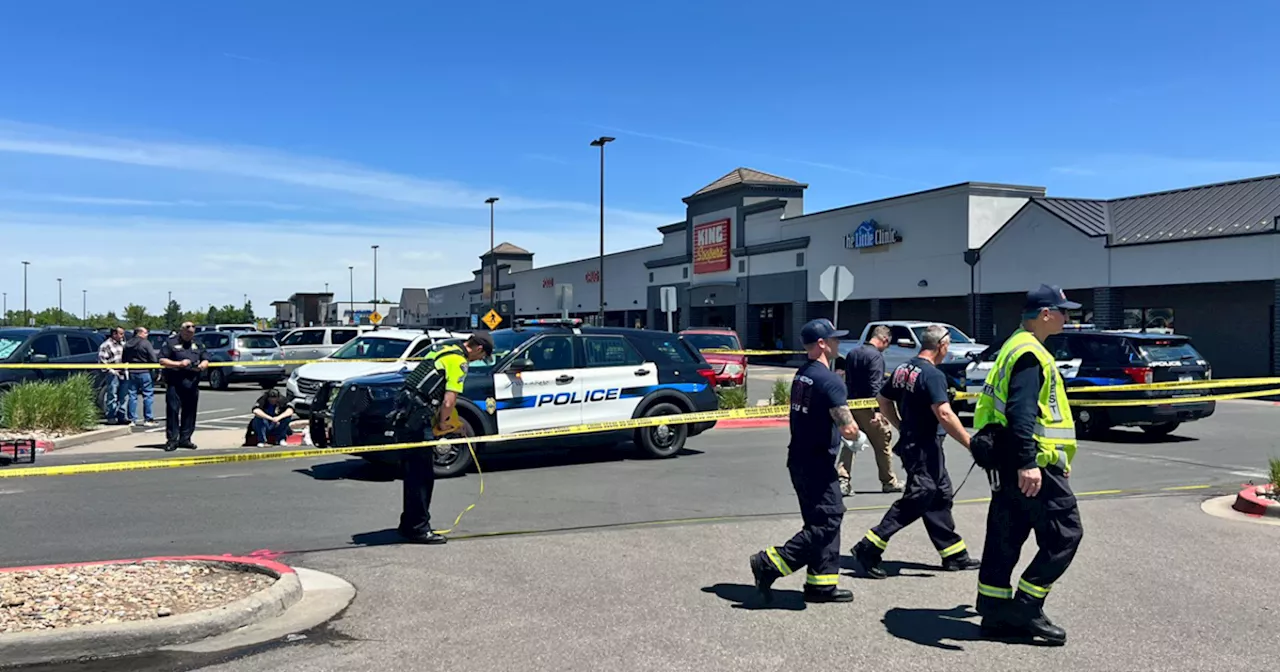 Shoplifting suspects ram Wheat Ridge police car, other vehicles in King Soopers parking lot