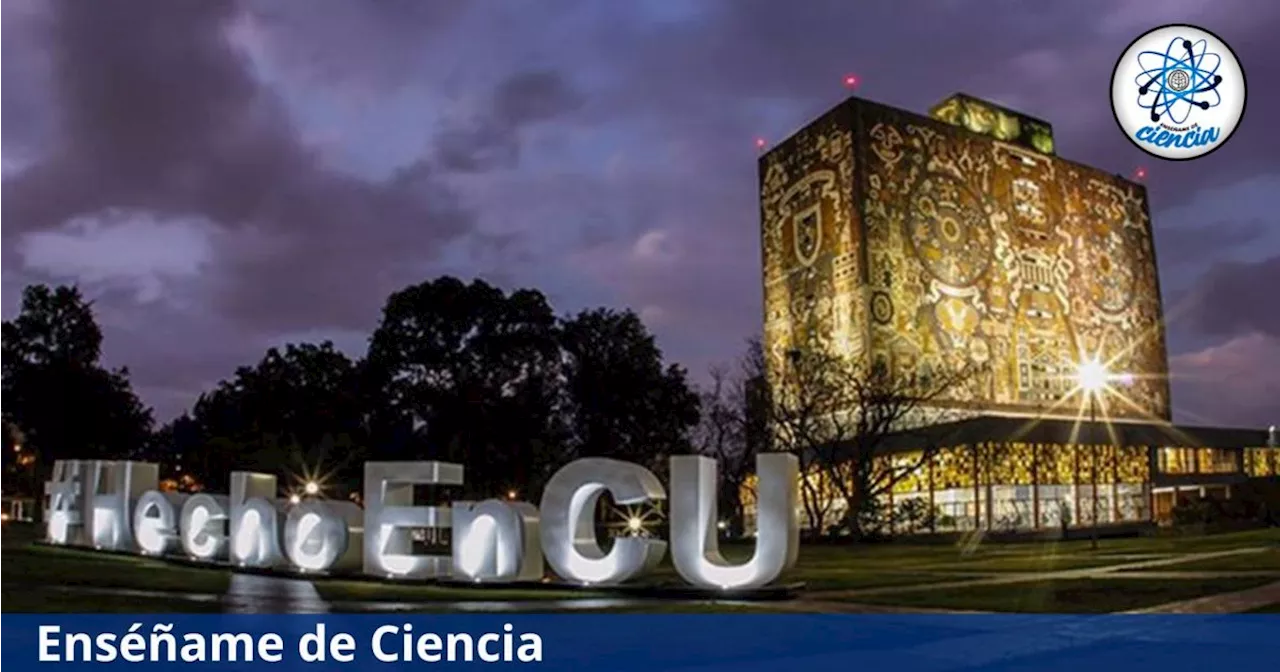 Los cursos de Excel e inglés que la UNAM pone a tu alcance, ¡COMPLETAMENTE GRATIS!