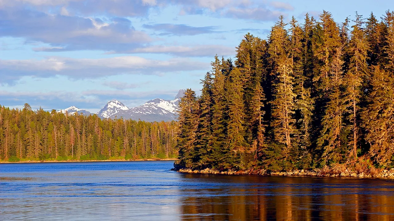 Charter boat likely capsized in leadup to wreck that killed 5 off Alaska coast: Coast Guard