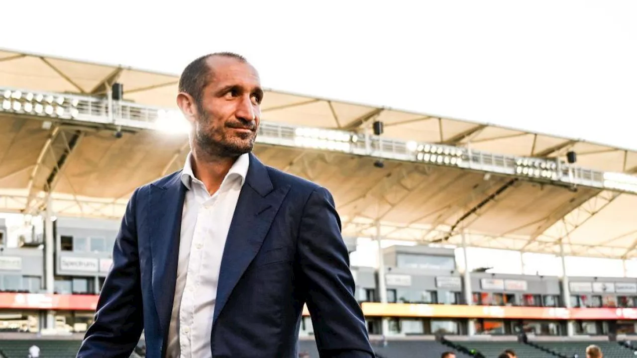 Chiellini pronto per il ritorno alla Juve da dirigente: sarà l'anima bianconera accanto a Motta