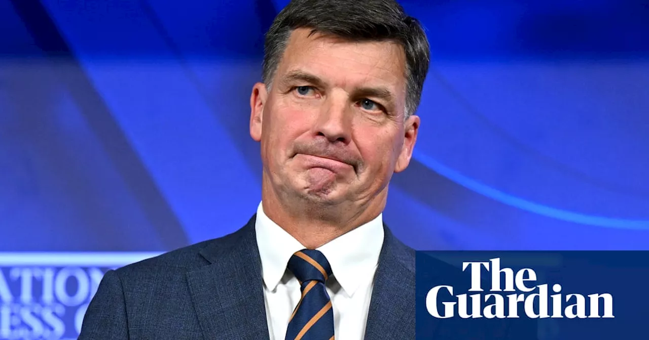 Angus Taylor at odds with Dutton on migration targets in ‘shambolic’ post-budget appearance