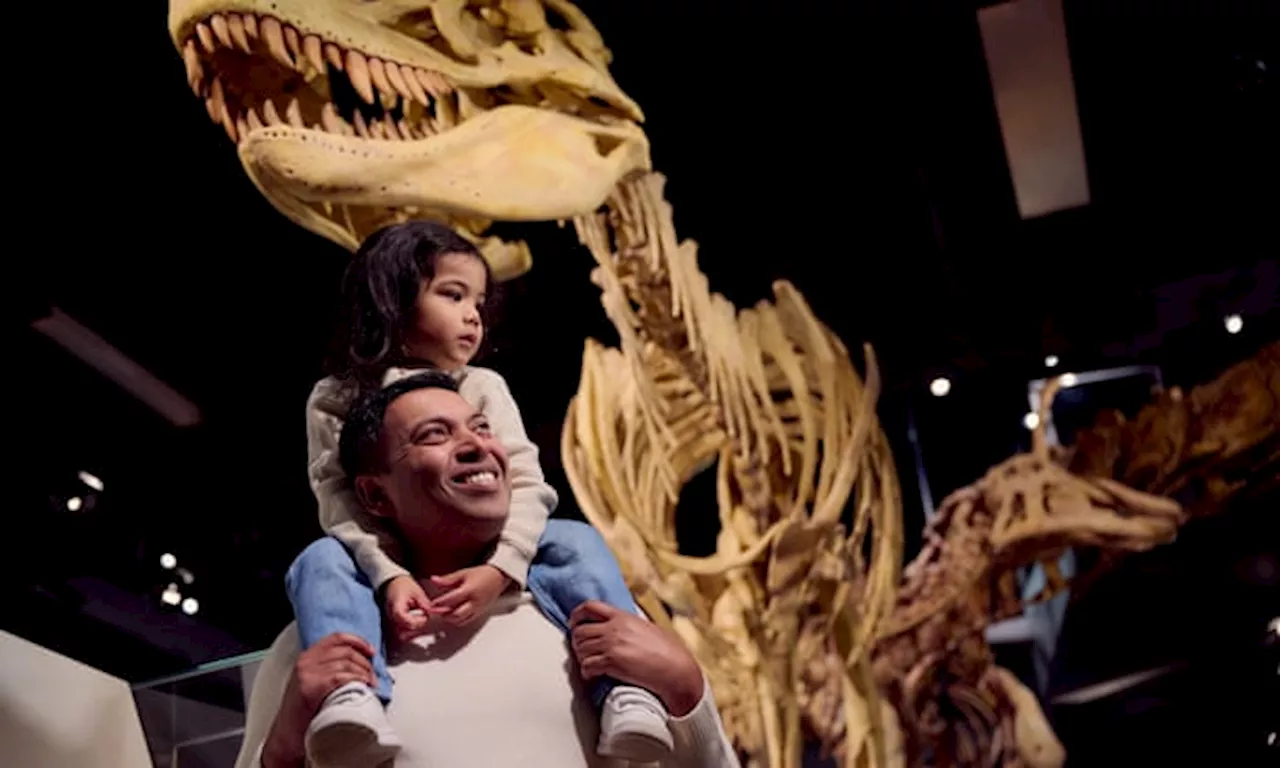 Skeletons and science: Dinosaur Walk at the Melbourne Museum brings the deep past to life