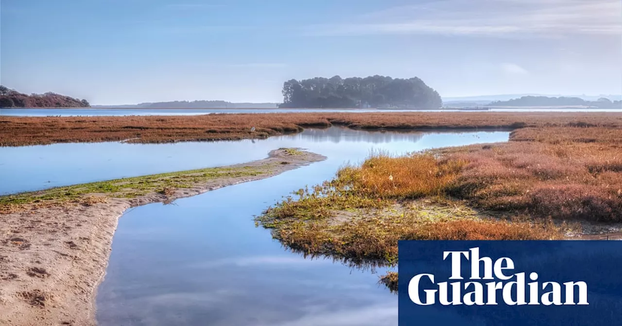 ‘The greatest biodiversity in England’ – a wander through the Isle of Purbeck ‘super’ nature reserve