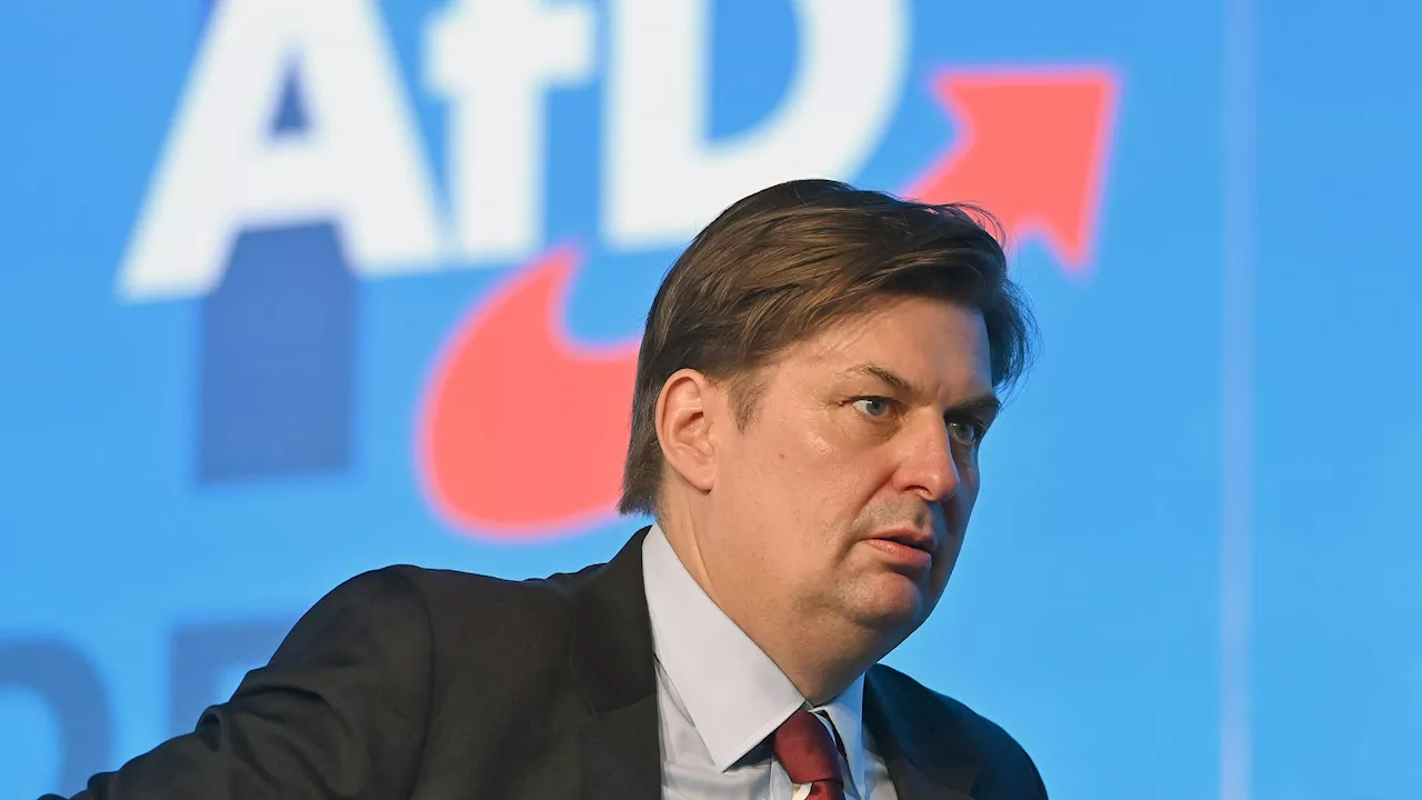 Auftrittsverbot! AfD lässt EU-Kandidat Krah fallen