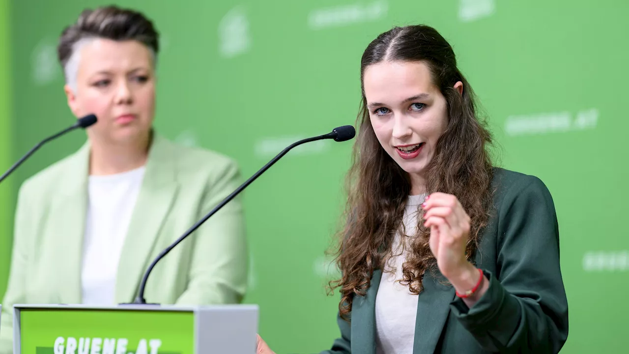 'Silberstein-Methode' – Grüne geben der SPÖ die Schuld