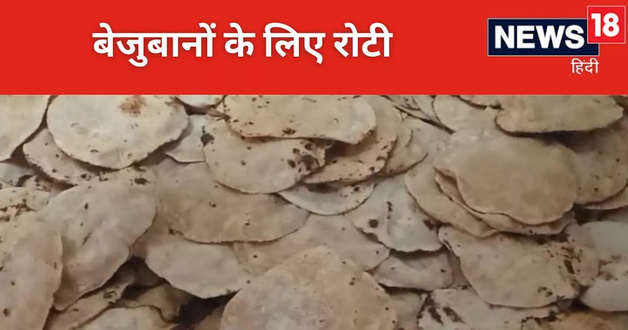 PHOTOS: 1 रुपये से मिट रही बेजुबानों की भूख, 50 KG आटे से रोज बनती है 5000 रोटी, युवाओं का ग्रुप बना मददगार...