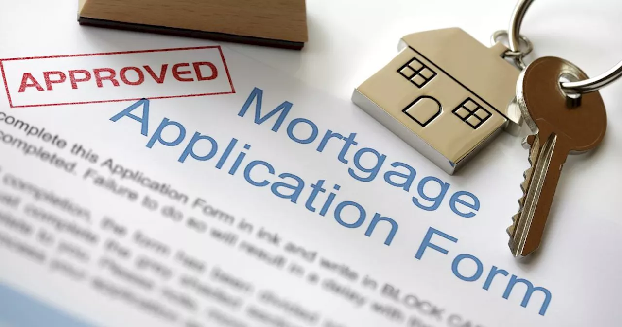 ICS Mortgages to cut rates and lend up to age 80 in bid to rebuild market share