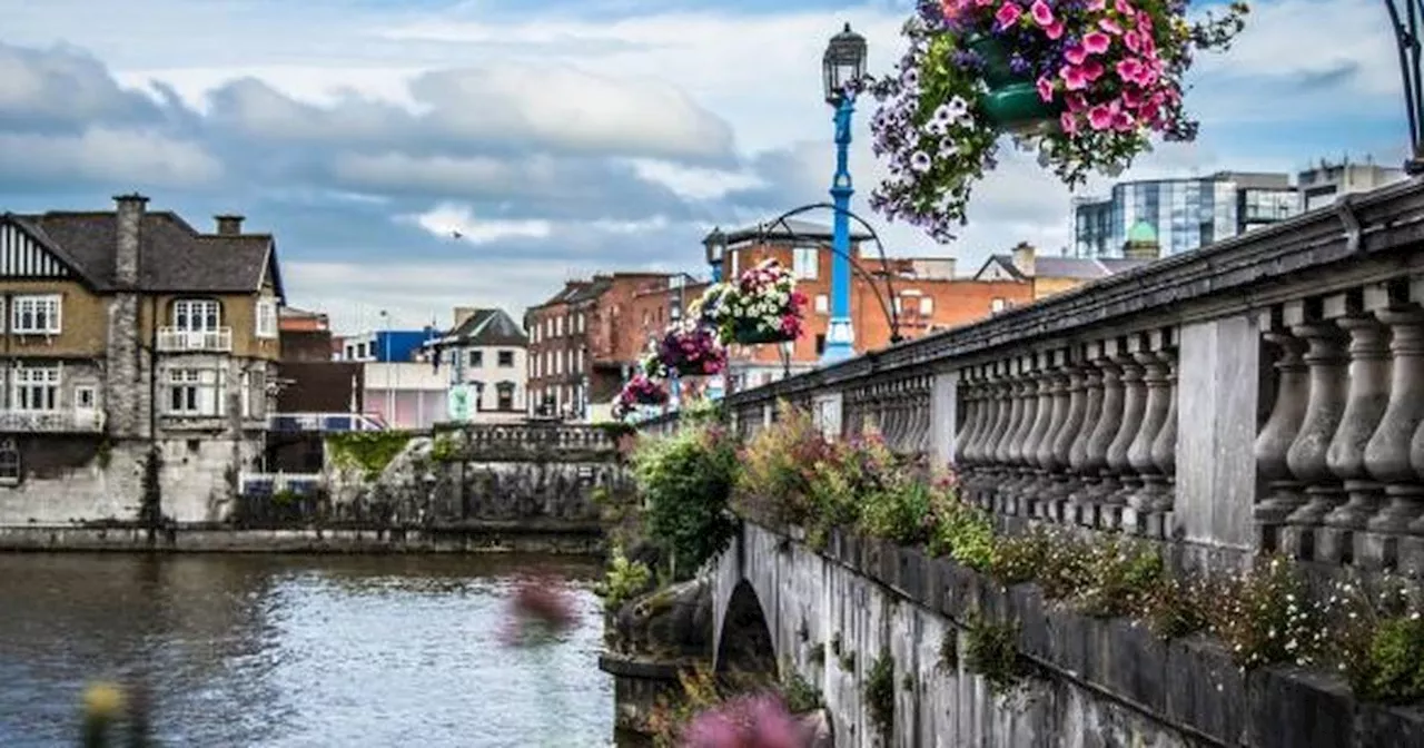 Limerick mayoral candidates clash over role of Land Development Agency in Limerick