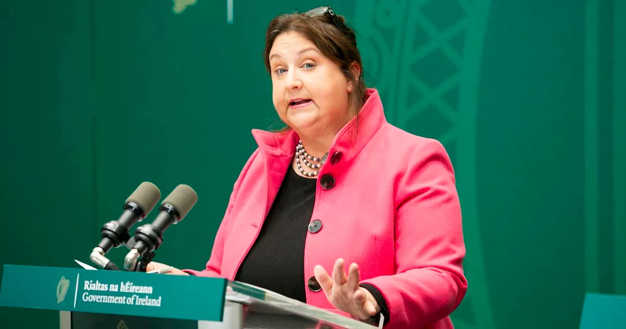 Minister apologises for HSE’s failure to talk to family of ward of court sent to UK