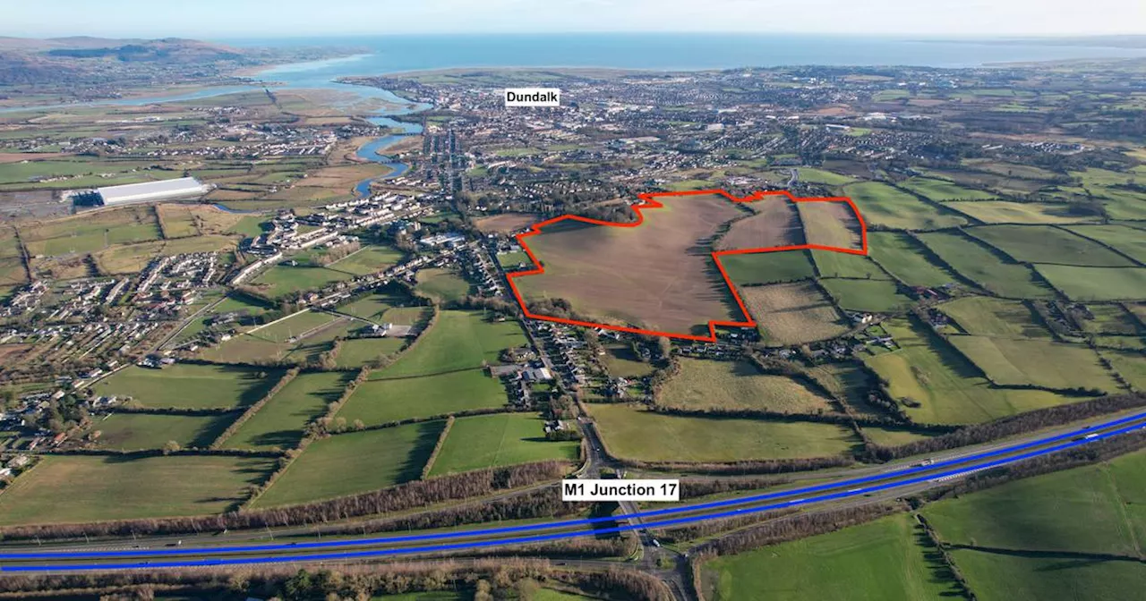 Receiver seeks €12m for Dundalk lands with potential for 1,000 homes