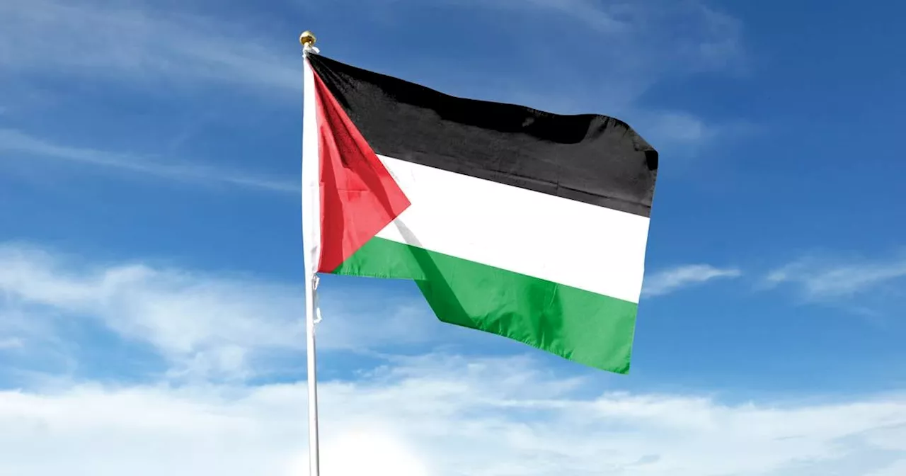 What Irish recognition for the state of Palestine means and how it happened