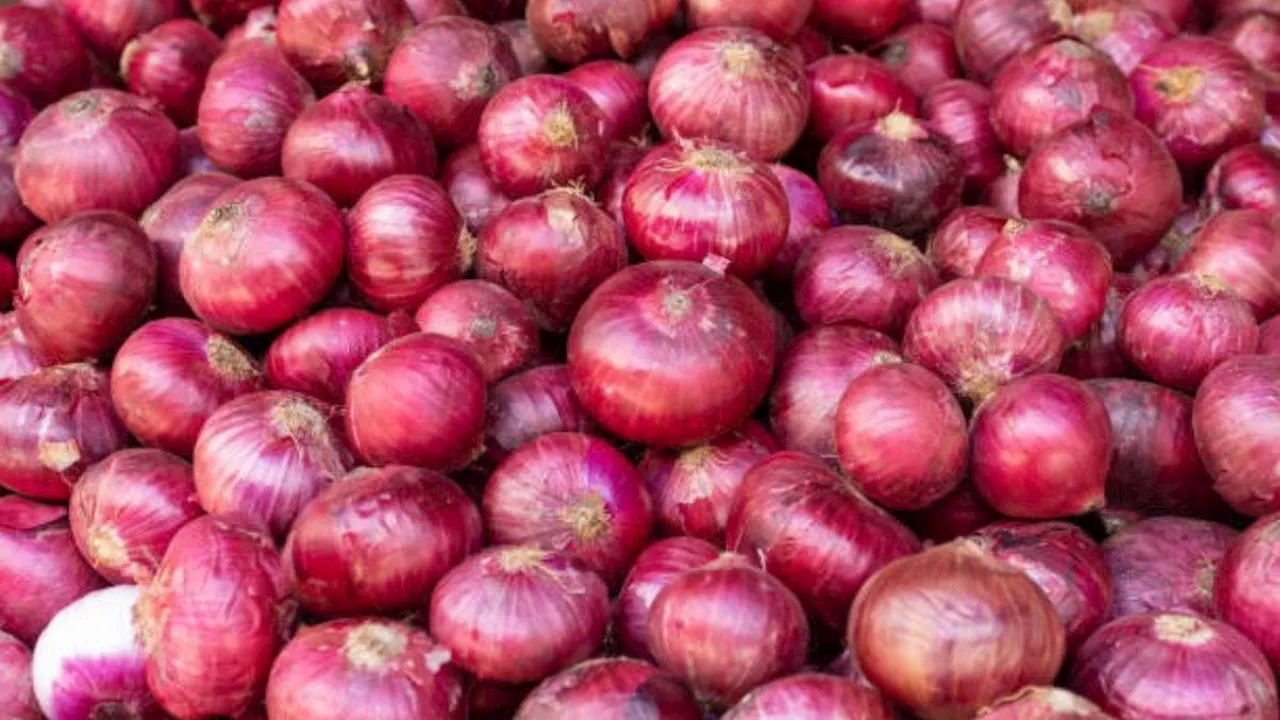 बैन हटने के बाद Onion Export में आई तेजी, 45000 टन से ज्यादा प्याज का हुआ निर्यात