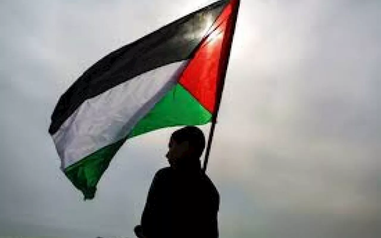 Espanha, Irlanda e Noruega declaram que vão reconhecer o Estado Palestino; entenda a importâcia