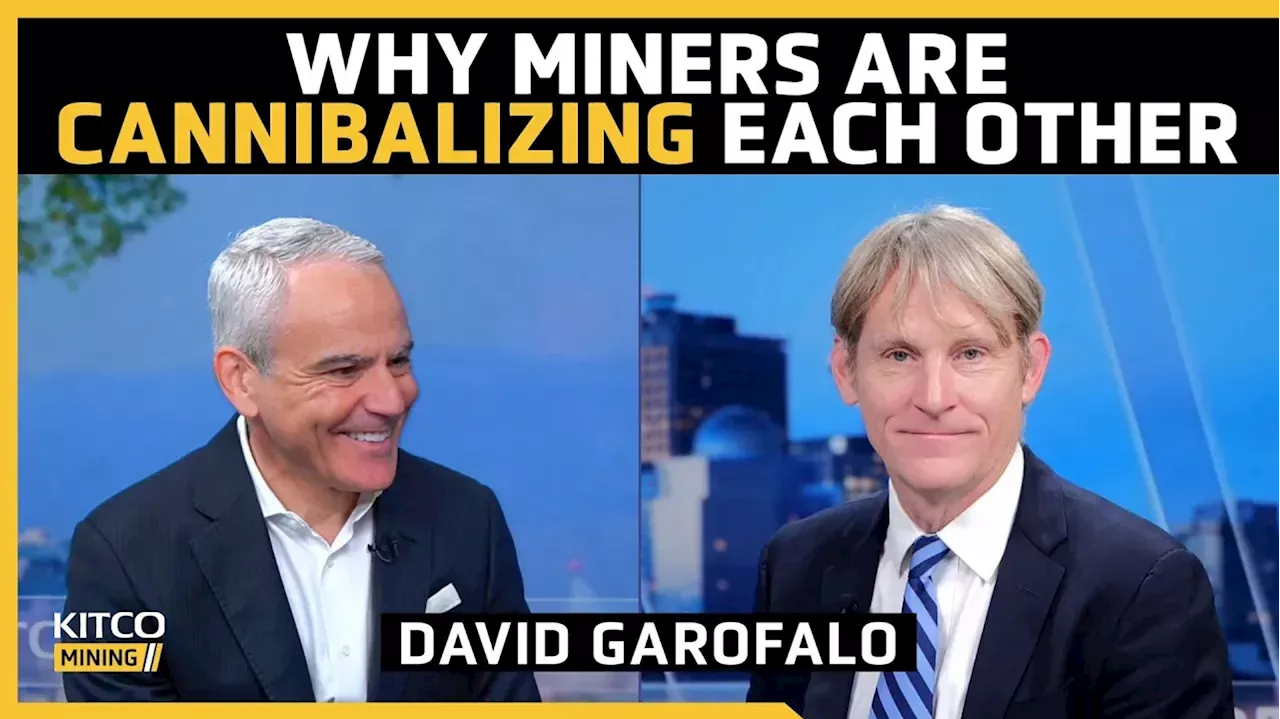 Why miners are driven to M&A - David Garafalo on the resource sector's 'shrinking pie'