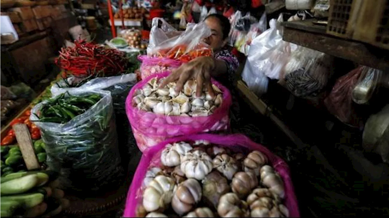 Harga Bawang Putih Tembus Rp77.000/Kg di Papua Pegunungan, Diperkirakan Baru Akan Turun Juni