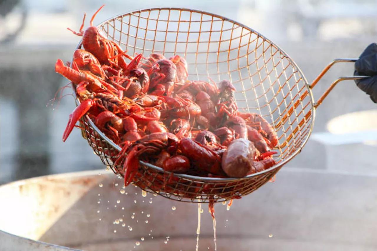 Up for a roadtrip? Fredericksburg’s annual Crawfish Festival will take place Memorial Day weekend