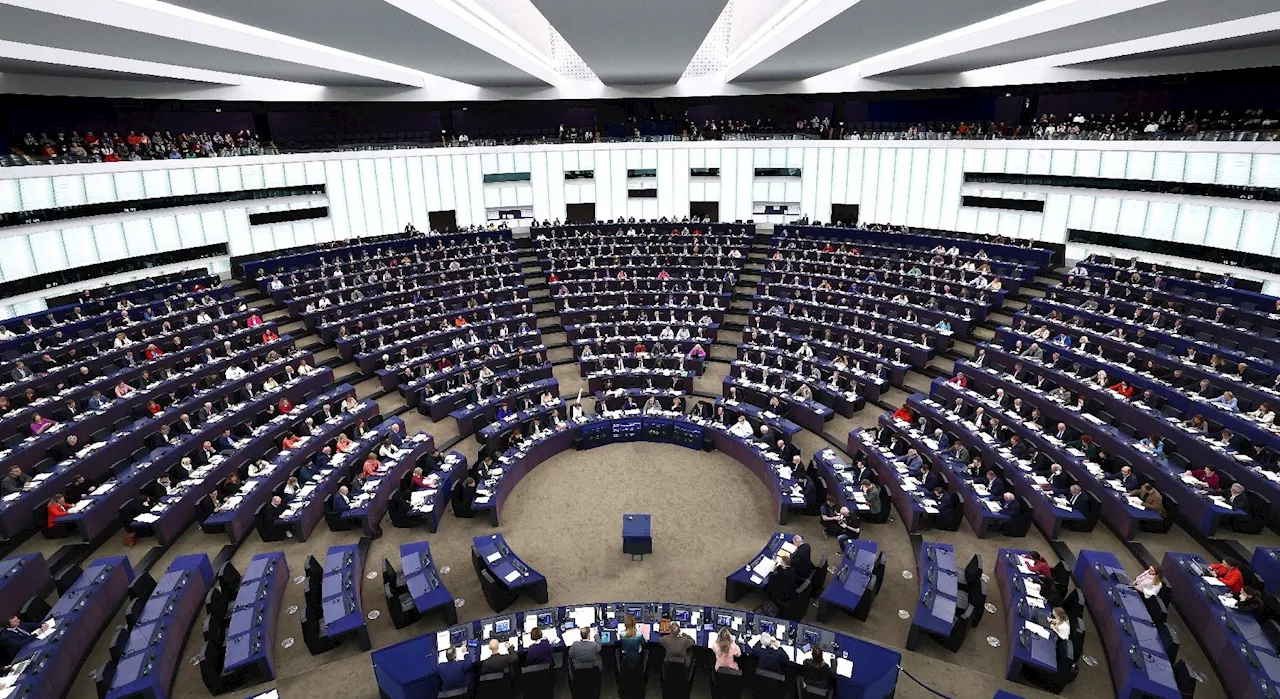 Elections 2024 : comment se compose politiquement le Parlement européen aujourd'hui ?