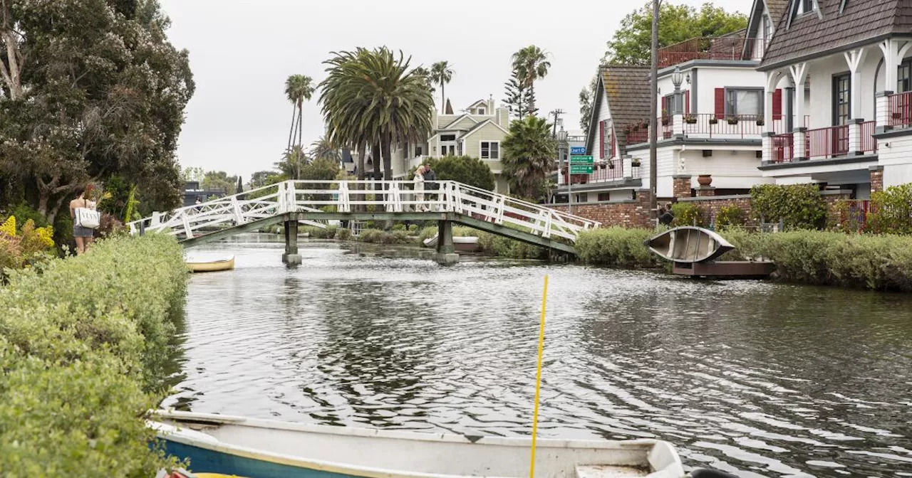 One victim of brutal Venice attacks is declared brain-dead, sources say