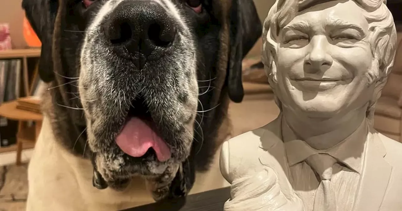 Javier Milei le envió un curioso regalo a Sullivan, “el perro influencer”