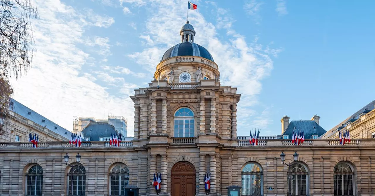 Encadrement du recours aux cabinets de conseil : vers un débat centré sur les collectivités au Sénat