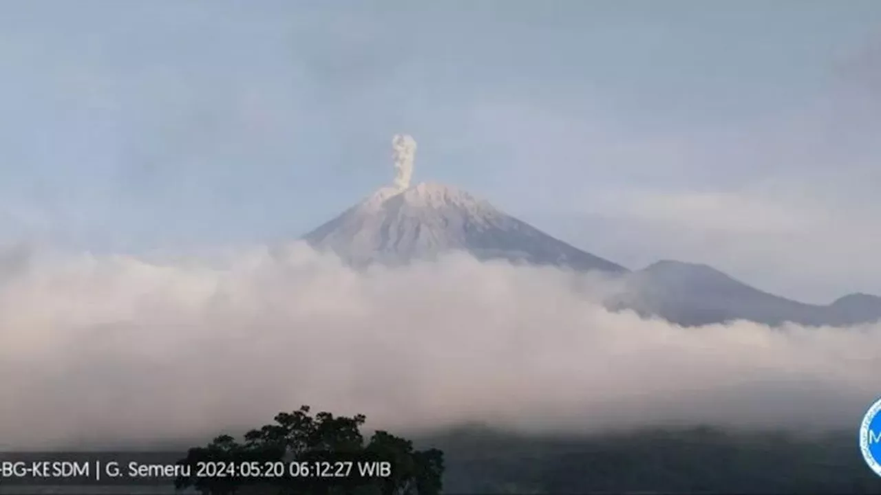 Gunung Semeru Erupsi Lagi Rabu Hari Ini, Jarak Luncur Tidak Diketahui Karena Kabut