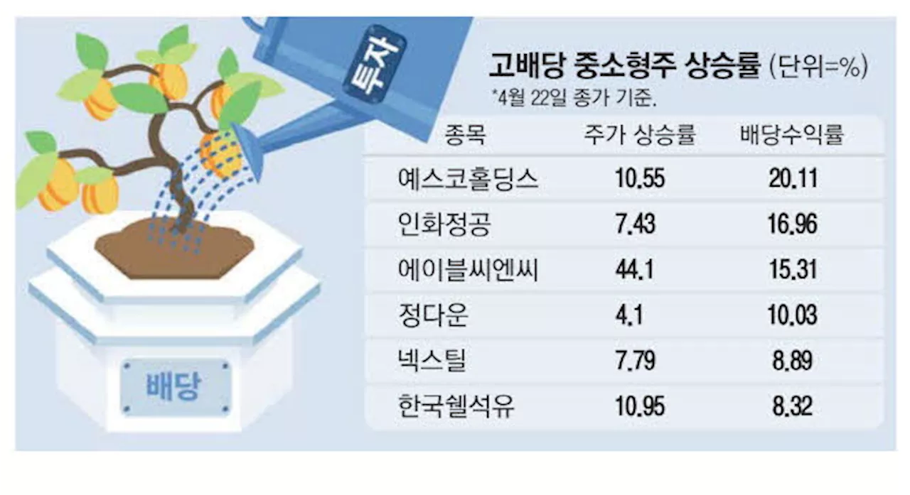 배당 확 늘린 중소형주 … 주가도 올랐네