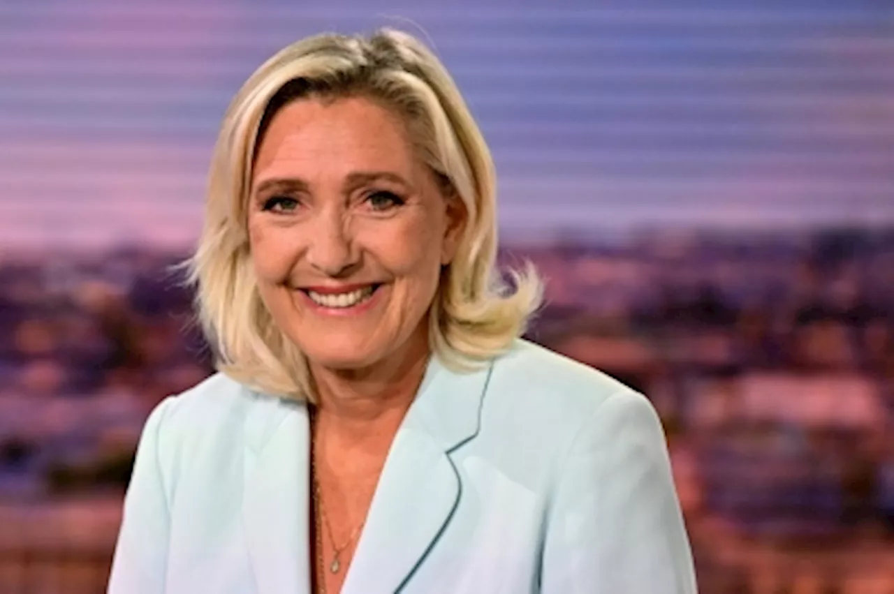 Le Pen wants ‘clean break’ with Germany’s AfD after Nazi SS comments