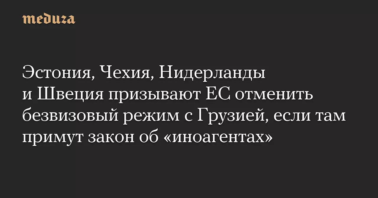 Эстония, Чехия, Нидерланды и Швеция призывают ЕС отменить безвизовый режим с Грузией, если там примут закон об «иноагентах» — Meduza