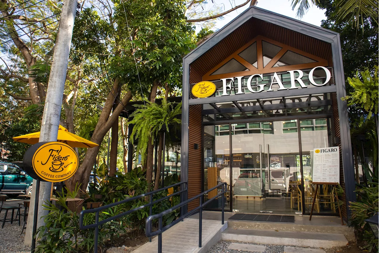 Strong Growth Characterizes Figaro Coffee Group’s Performance in 2023