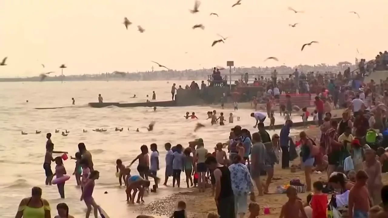 Tierplage in Rom: Expertin gibt Anwohnern abstrusen Rat