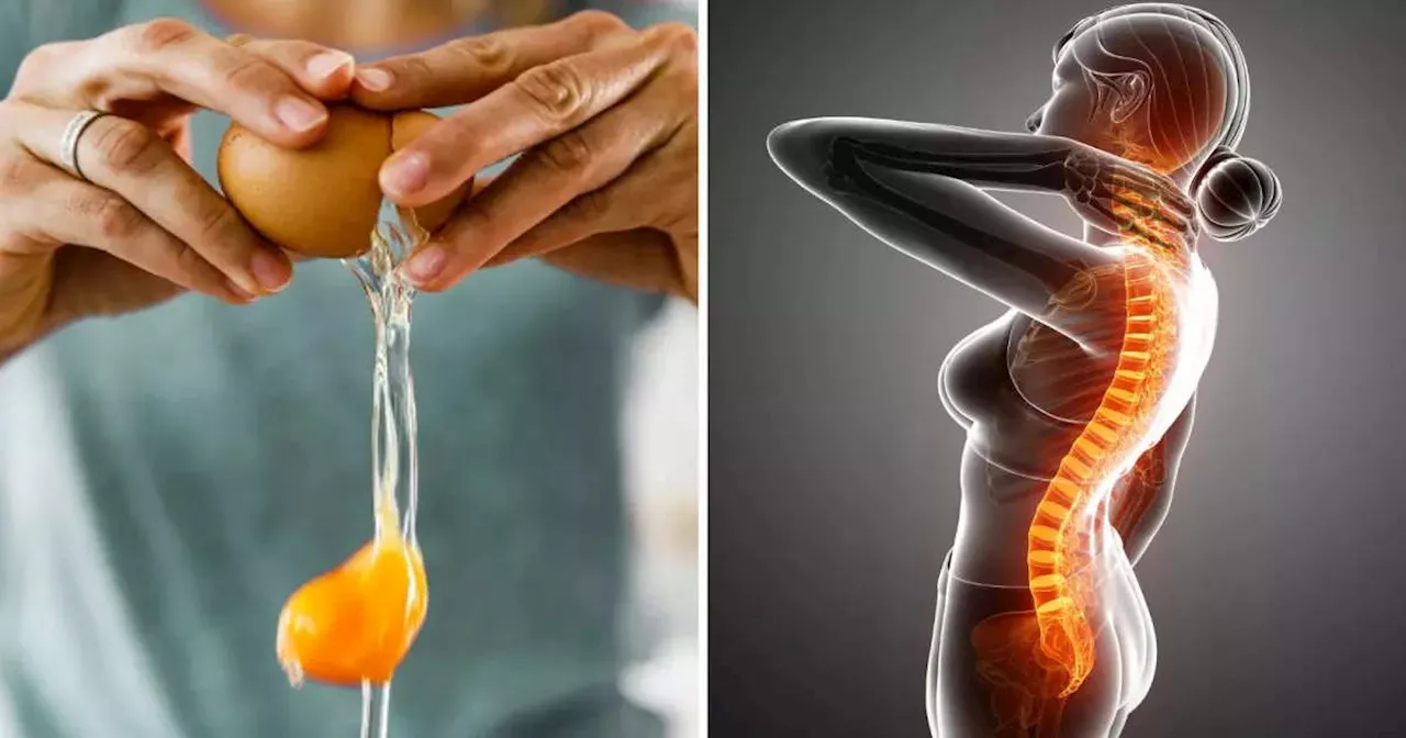 Protein For Women: प्रोटीन के लिए ये 10 चीजें खाएं महिलाएं, 60 तक भी बूढ़ी अम्मा कहने से डरेंगे लोग