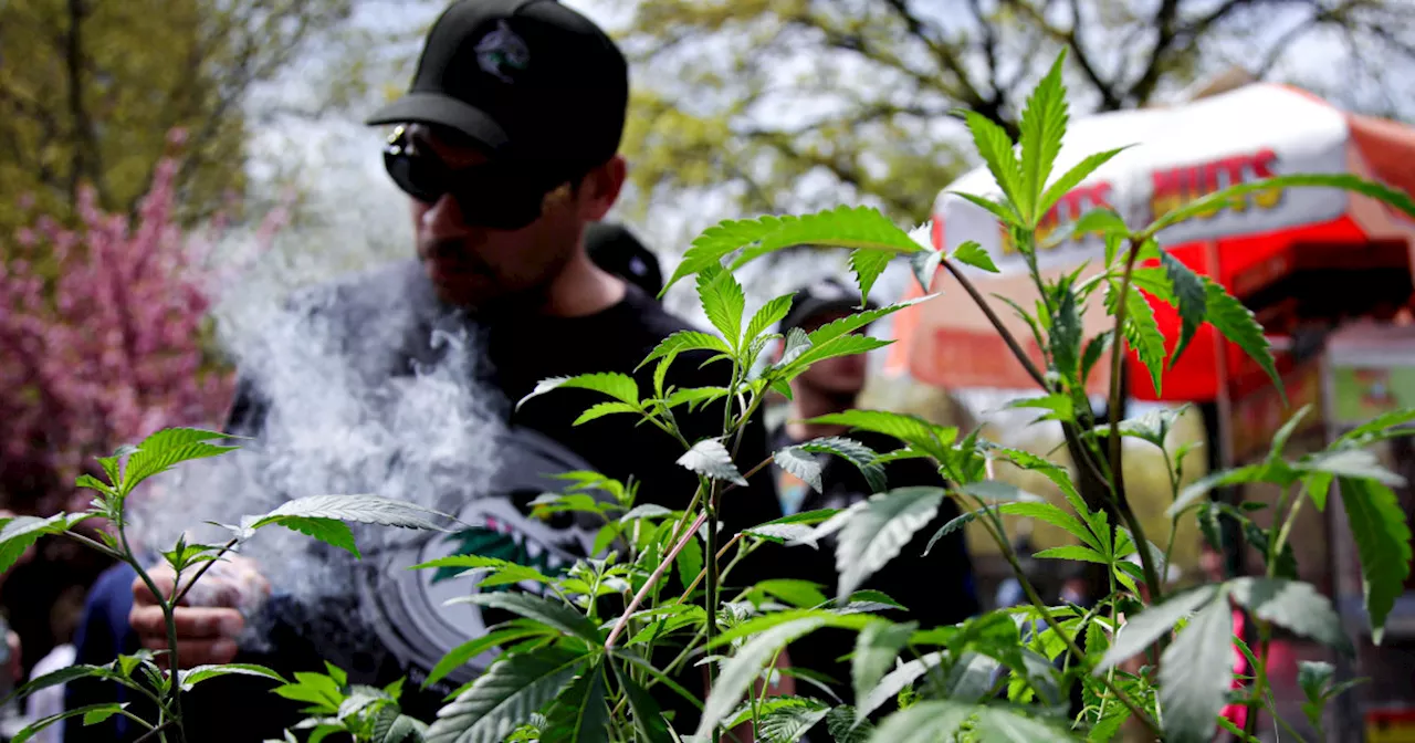 Daily marijuana use outpaces daily drinking in the U.S., a new study says