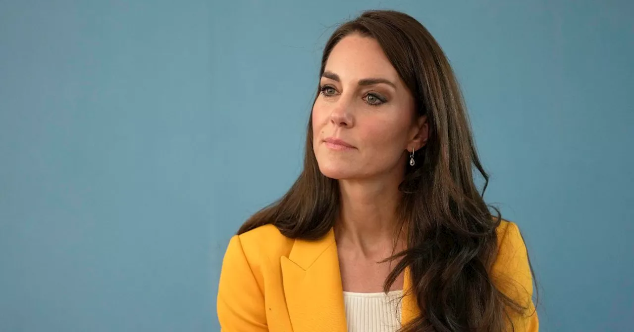 Kate Middleton fans say 'are you kidding me' as she unveils new portrait