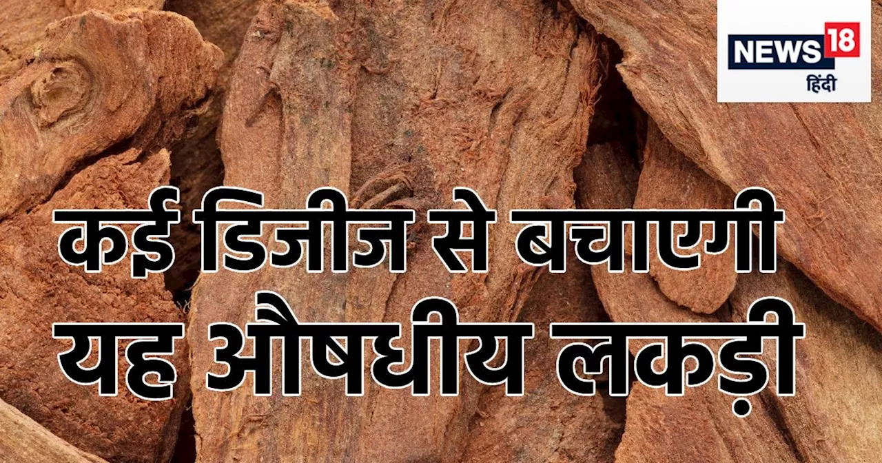 सेहत के लिए वरदान है यह खास लकड़ी, इसमें दवा का पूरा भंडार, हार्ट डिजीज से बचाने में बेहद असरदार !