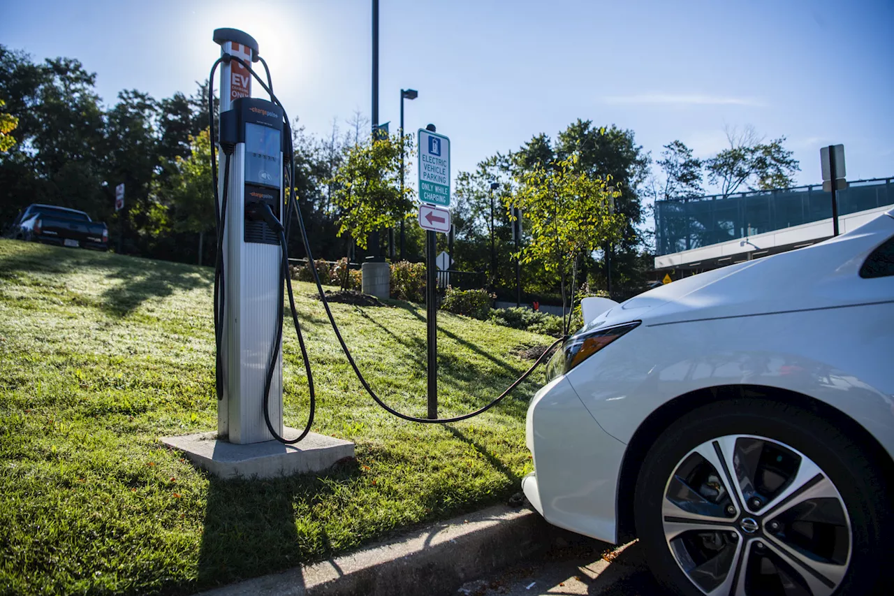 EVs twice as likely to knock down pedestrians