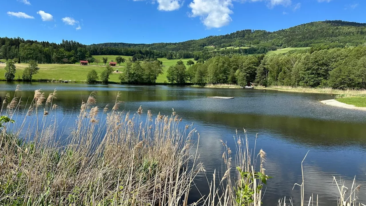 Malerische neue E-Bike-Tour durch das südliche Waldviertel