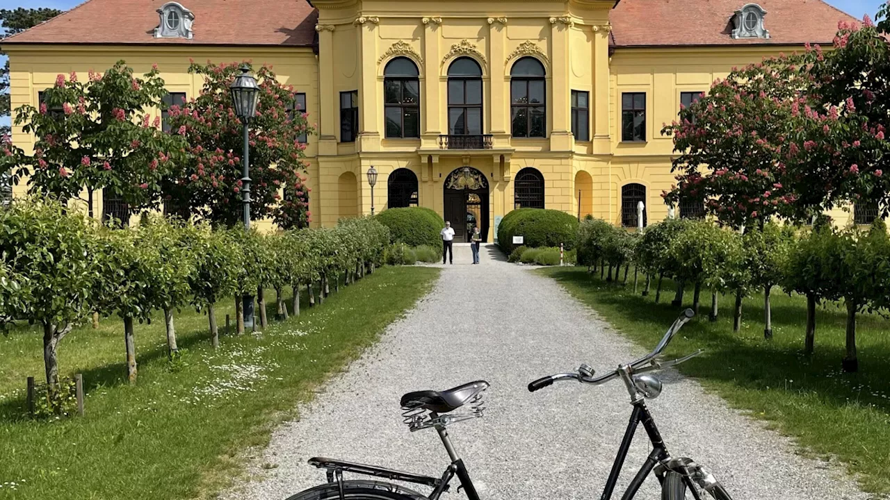 Schlösserreich: NÖN-Reporter auf Marchfeld-Radtour „den Tränen nahe“