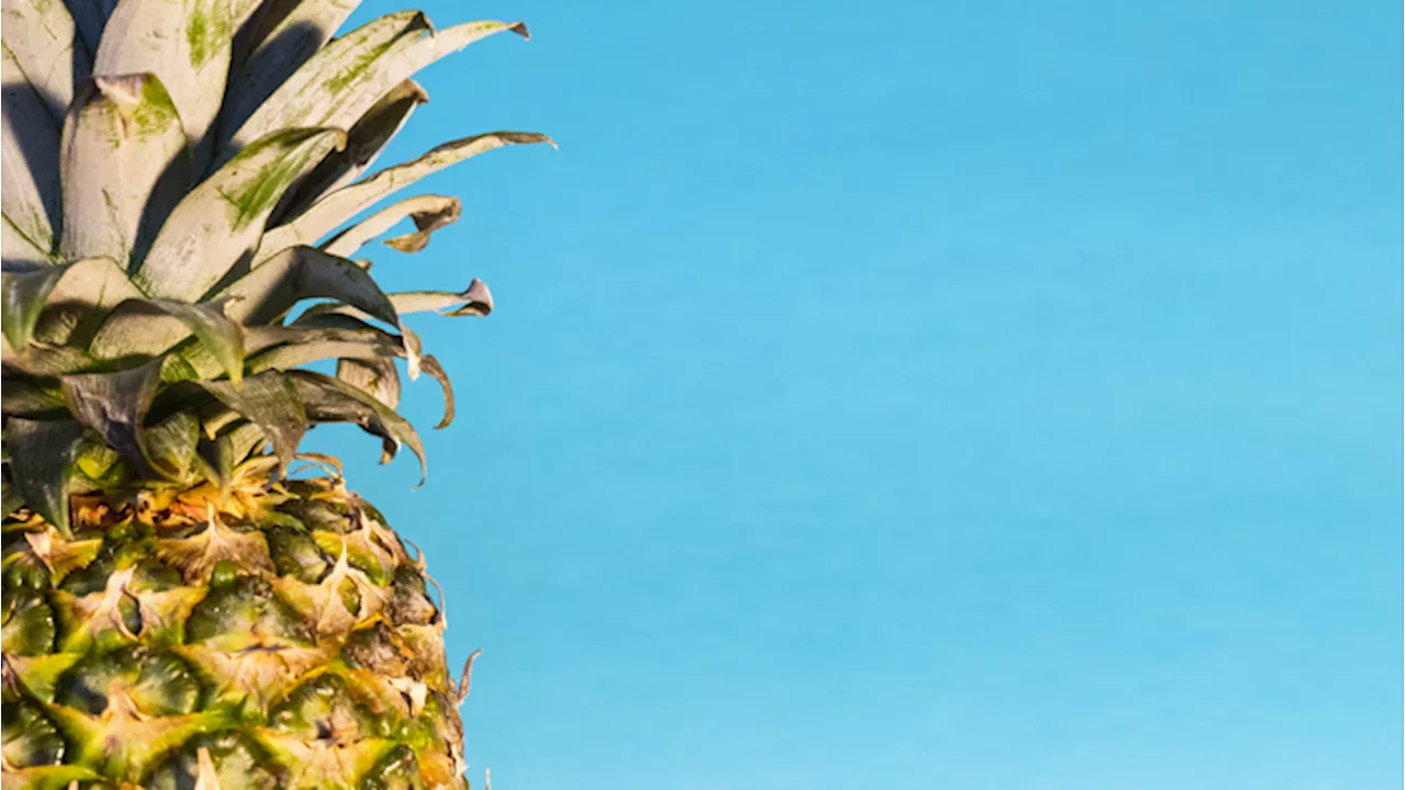 Ananas: scopri le proprietà e i benefici per la salute